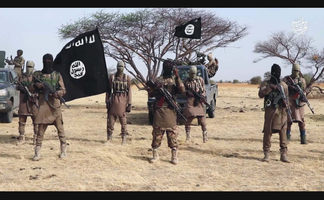 17 ISWAP terrorists drown while attempting to cross river on Nigeria-Niger border